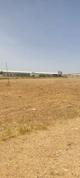 أرض سكنية استثمارية في بلعما الزيتونة