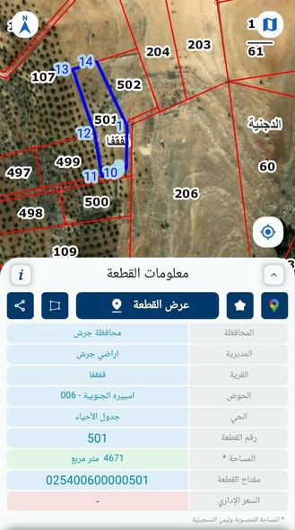 فرصة استثمارية: مزرعة زيتون في جرش بسعر لقطة - 4