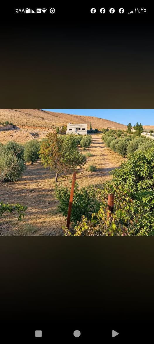 أرض 4 دونم في بيرين الخلة - فرصة استثمارية مع بيت عظم