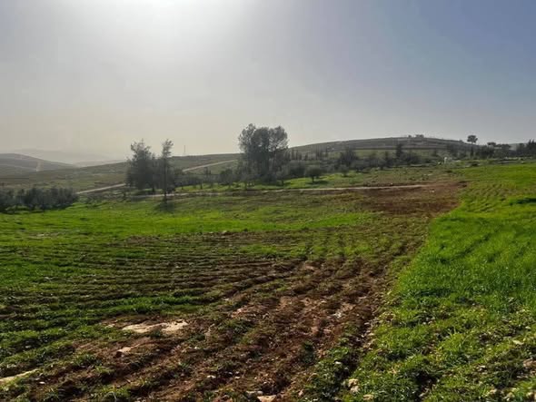قطعة أرض استثمارية في عين والمعمرية فرصة نادرة للبناء والزراعة - 4