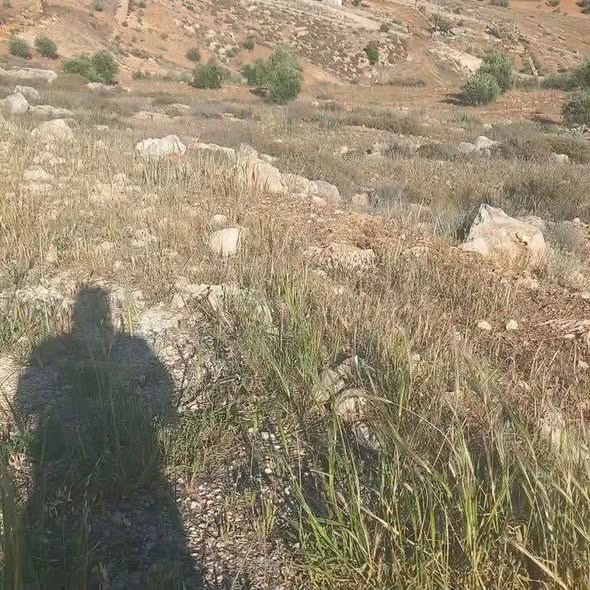 مزرعة 14 دونم بإطلالة مميزة على شارع جرش-المفرق - 2