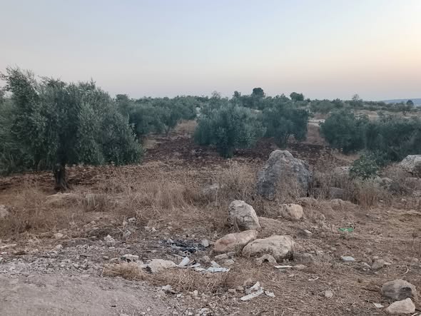 فرصة استثمارية: أرض سكنية مميزة في إربد - 2