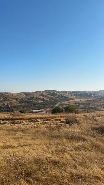 فرصة استثمارية فاخرة في عجلون - 2