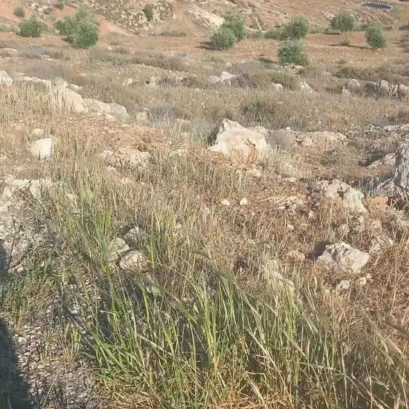 مزرعة 14 دونم بإطلالة مميزة على شارع جرش-المفرق - 3