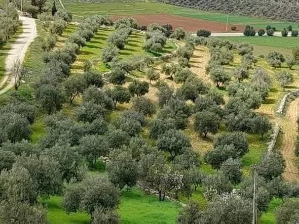 أراضي مميزة للبيع في مواقع حيوية متعددة - 3