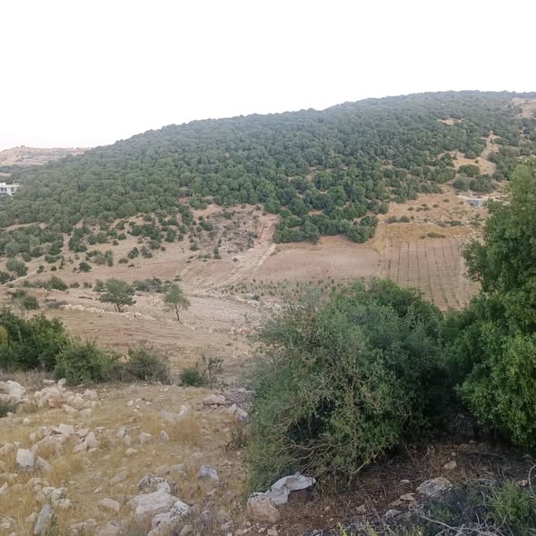 أرض استثمارية فاخرة في عجلون - وادي عبين - 3