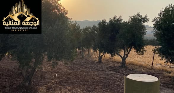 منزل مستقل مع أرض 3.5 دونم مشجرة للبيع - 3