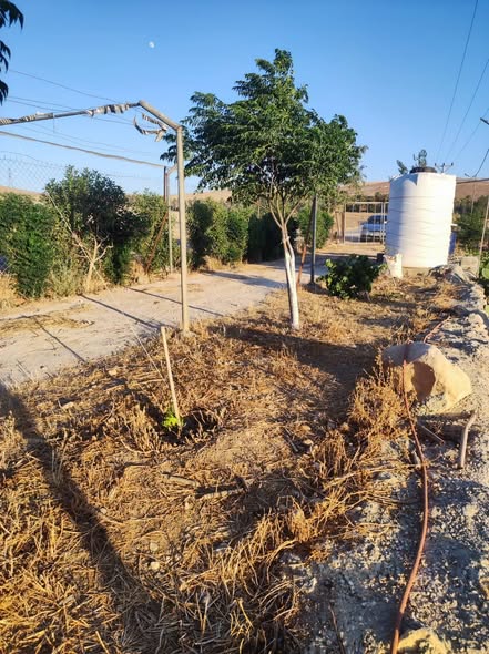 مزرعة استثمارية للبيع - 3
