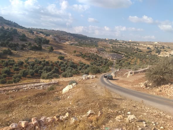 أرض زراعية فاخرة للبيع في عجلون – فرصة استثمارية - 4