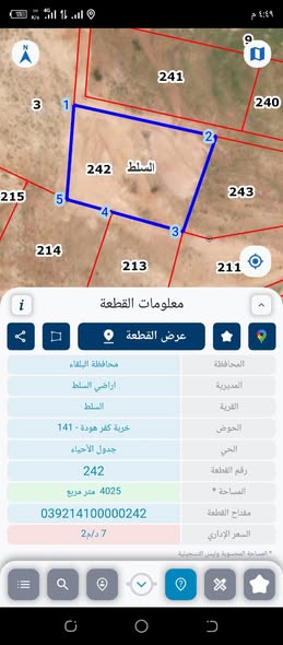 أرض مطلة للبيع في السلط - خربة كفرهودا بسعر مغري - 2