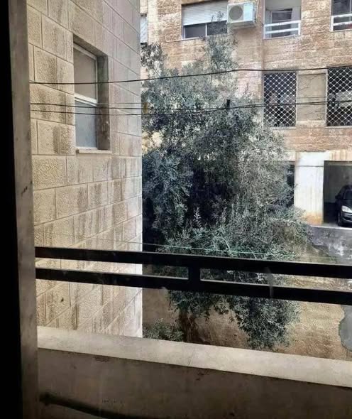 شقة فاخرة للإيجار في الجاردنز - 5