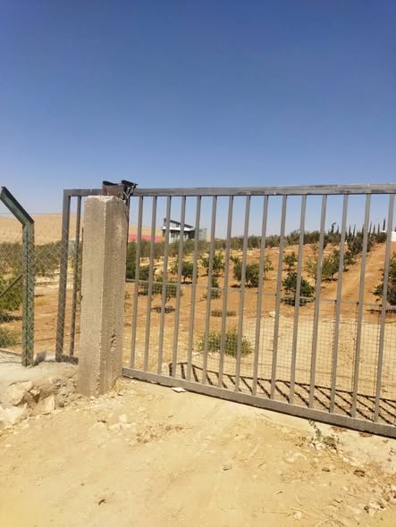 مزرعة نموذجية للبيع في إربد، الرابية - استثمار زراعي مربح