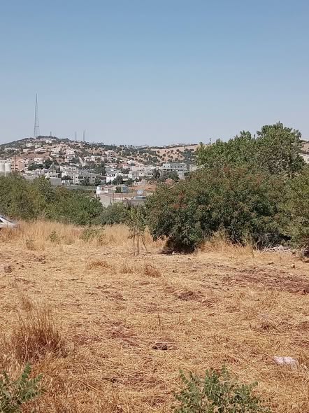 قطعة أرض استثمارية فاخرة للبيع في عبين - عجلون - 2