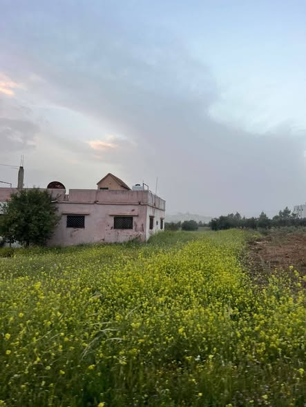 أرض سكنية نخبوية مع بيت زيتون - 2