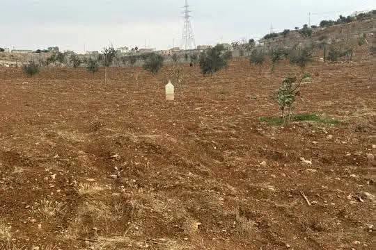 أرض زراعية للبيع في حمامة جرش - 2