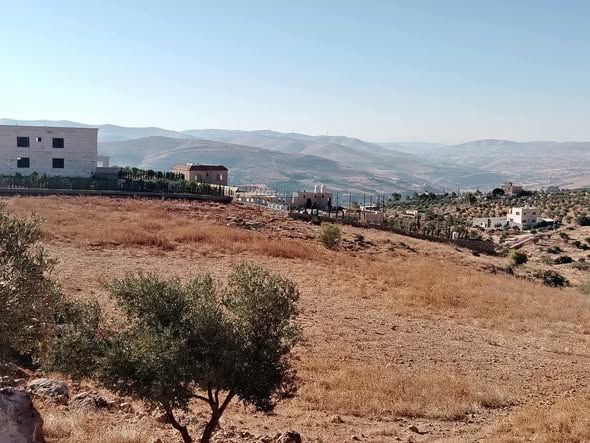 أرض مميزة في عنيبة - فرصة ذهبية لمزرعة أو شاليه - 5