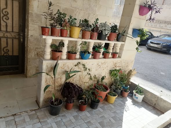 شقة تسوية للبيع في الحي الشرقي – فرصة استثمارية مميزة - 2
