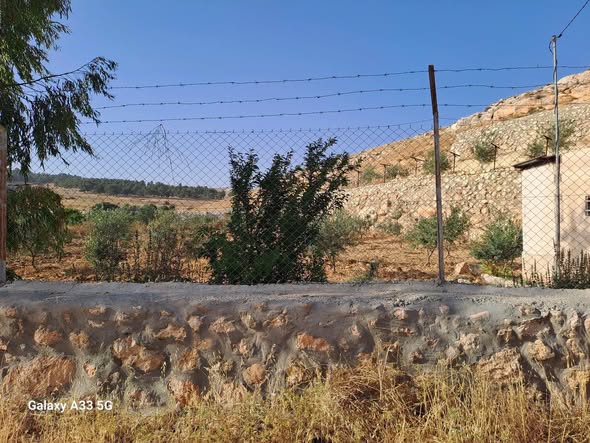 مزرعة مع بيت 3.5 دونم في المدور - فرصة نادرة - 3
