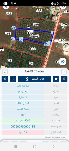 أرض زراعية سكنية فاخرة للبيع في مادبا – 4 دونم - 4