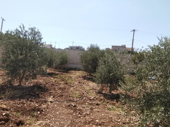 قطعة أرض سكنية فاخرة للبيع في منطقة هادئة - 2