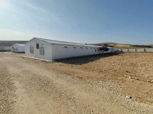 مزرعة دواجن متكاملة للبيع في بلعما استثمر الآن!