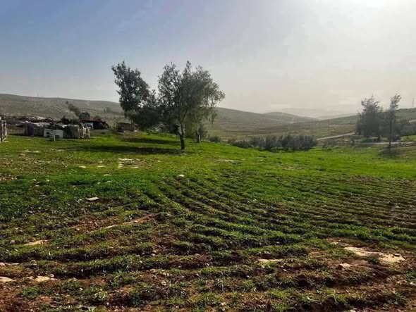 أرض سهلية مستوية للبيع في عين والمعمرية