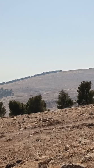 أرض استثمارية للبيع في عنيبة - مناسبة لمزرعة أو شاليه