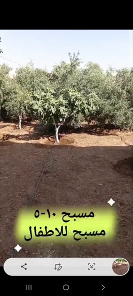 مزرعة فاخرة مع بيتين ومسابح للبيع في بلعما