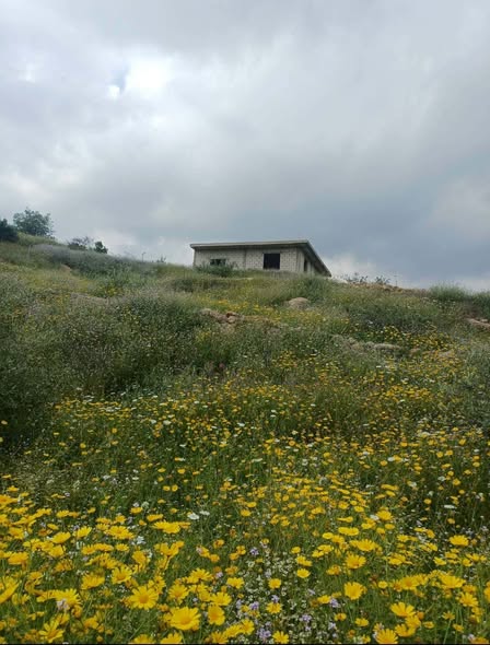 أرض زراعية استثمارية في كفر رحتا غرب إربد - 4