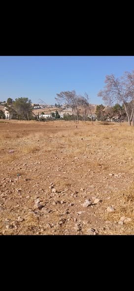 فرصة استثمارية: أرض سكنية مميزة في بلعما - 3