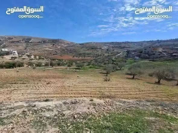 أرض زراعية فاخرة للبيع في بيرين - صروت - 2