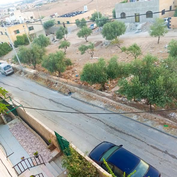 فرصة ذهبية: أرض للبيع في عين الباشا موبص - 2