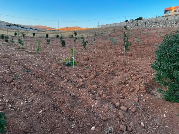 مزرعة فاخرة للبيع في بلعما - إطلالة رائعة