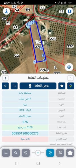 أرض زراعية للبيع في مادبا – جو هادئ وإطلالة ريفية - 3