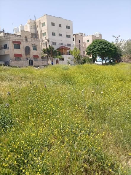 بناية سكنية للبيع في الهاشمي – فرصة استثمارية ذهبية - 3