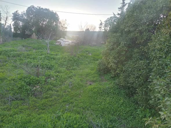 أرض للبيع أو البدل في الزرقاء مع بيت ريفي - 3