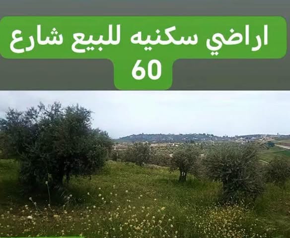 فرصة استثمارية نادرة: أرض مميزة في منطقة الفلل