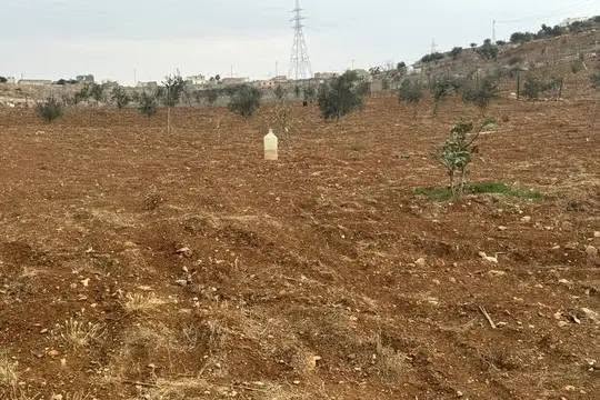 أرض سكنية ومزرعة جاهزة للبيع في جرش