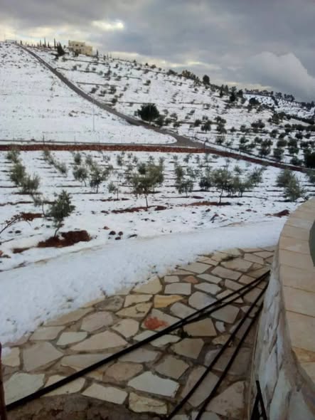 مزرعة فاخرة للبيع بإطلالة جبلية خلابة في جرش
