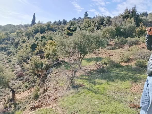 أرض سكنية للبيع في جرش - أم الغزلان - 2