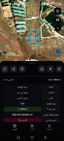 فرصة استثمارية: أرض 4 دونم مطلة في المريجمة - 2