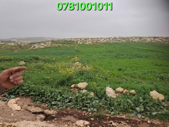 فرصة ذهبية: أرض 4 دونمات في إربد – استثمارية مميزة