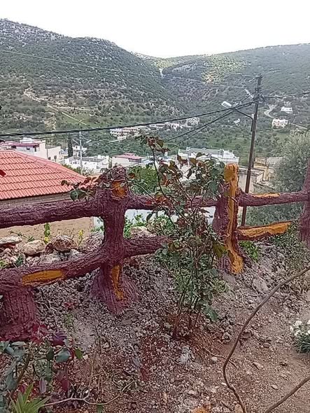 بيت للبيع في راسون – عجلون بموقع استثنائي وإطلالة جبلية ساحرة