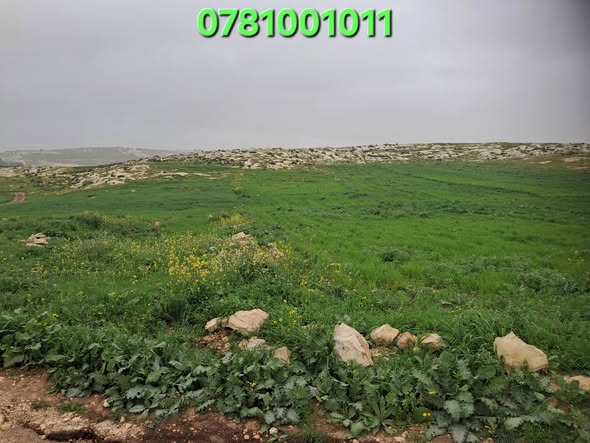 فرصة ذهبية: أرض 4 دونمات في إربد – استثمارية مميزة - 2