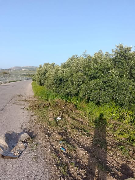 أرض 2.5 دونم مطلة على بحيرة طبريا ونهر اليرموك - 3