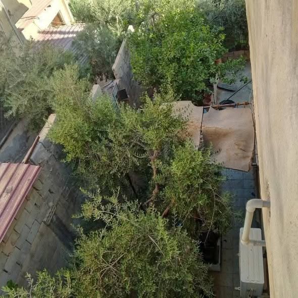منزل مستقل للبيع في عمان, أم زعرورة - 4