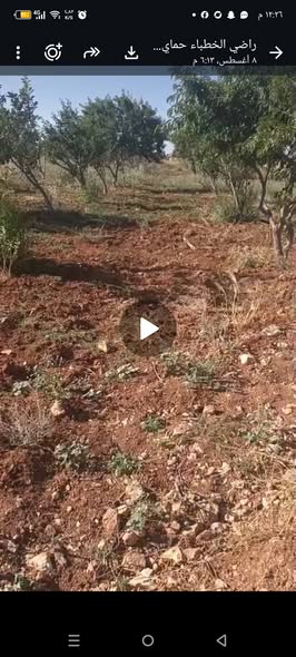 مزرعة فاخرة للبيع في مادبا - 5