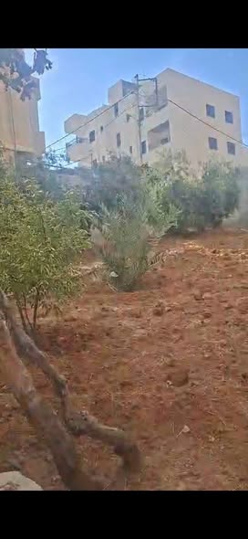فيلا فاخرة للبيع في طبربور بحدائق وفيرة - 2