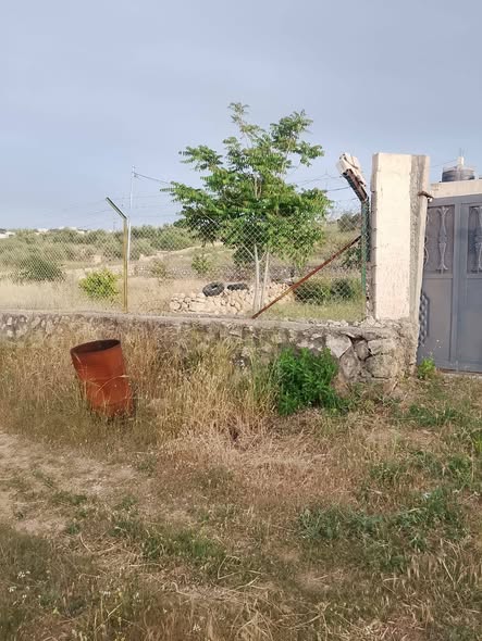 مزرعة فاخرة مع بيت ريفي في بيرين - 3