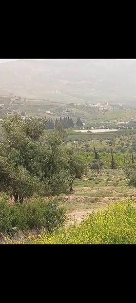 أرض سكنية بإطلالة رائعة للبيع في جرش – الخضرا الفوقاء - 2